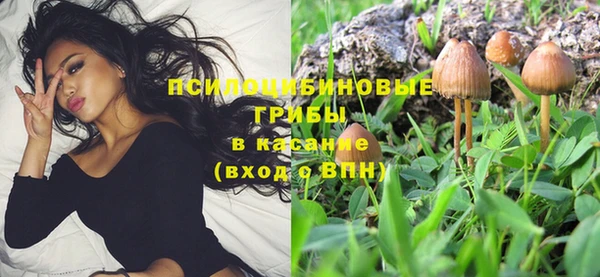 мескалин Алексин