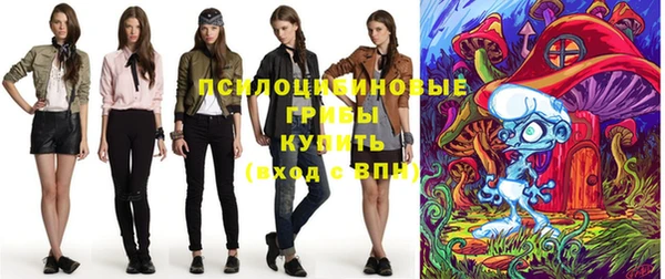 хмурый Алзамай