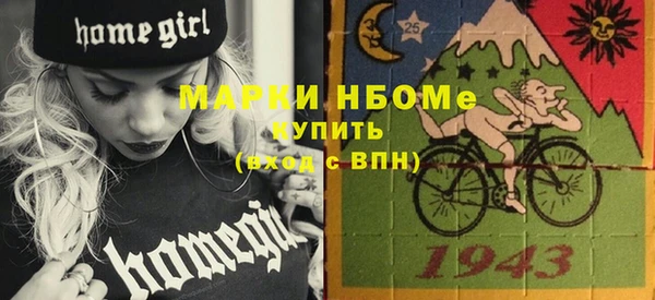 хмурый Алзамай